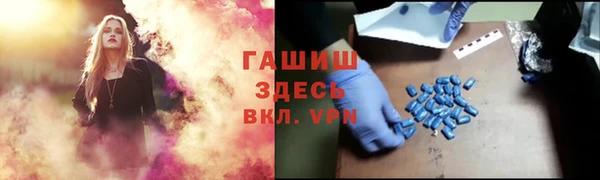 сатива Армянск