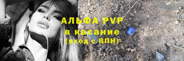 сатива Армянск