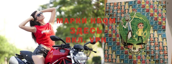 сатива Армянск