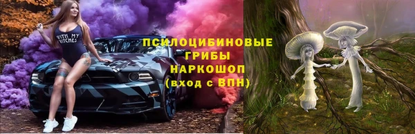 СК Арсеньев