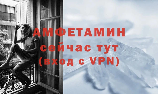 сатива Армянск