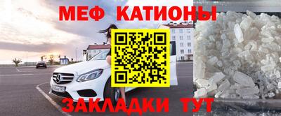прущие грибы Камышлов