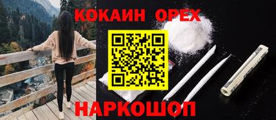прущие грибы Камышлов