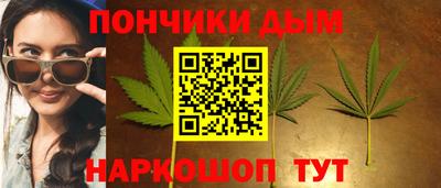 крисы Абакан
