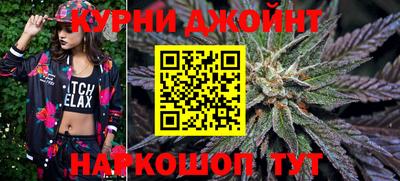 прущие грибы Камышлов