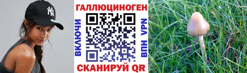 Галлюциногенные грибы GOLDEN TEACHER  Волхов 
