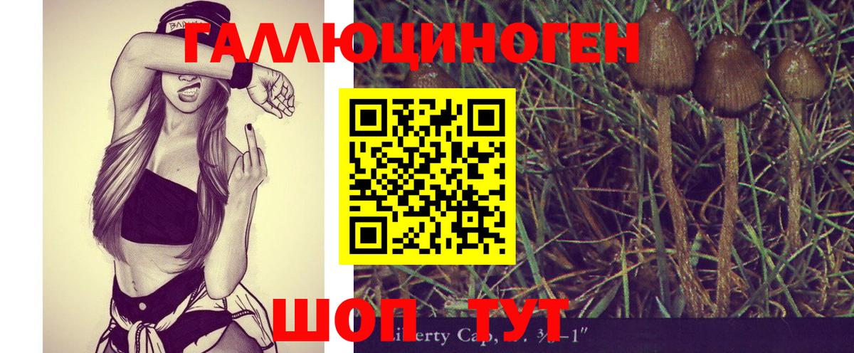 Псилоцибиновые грибы GOLDEN TEACHER Волхов